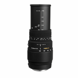 لنز دوربین کانن مدل  تله فوتو سیگما70-300MM F 4-5.6 DG MACRO for Canon,